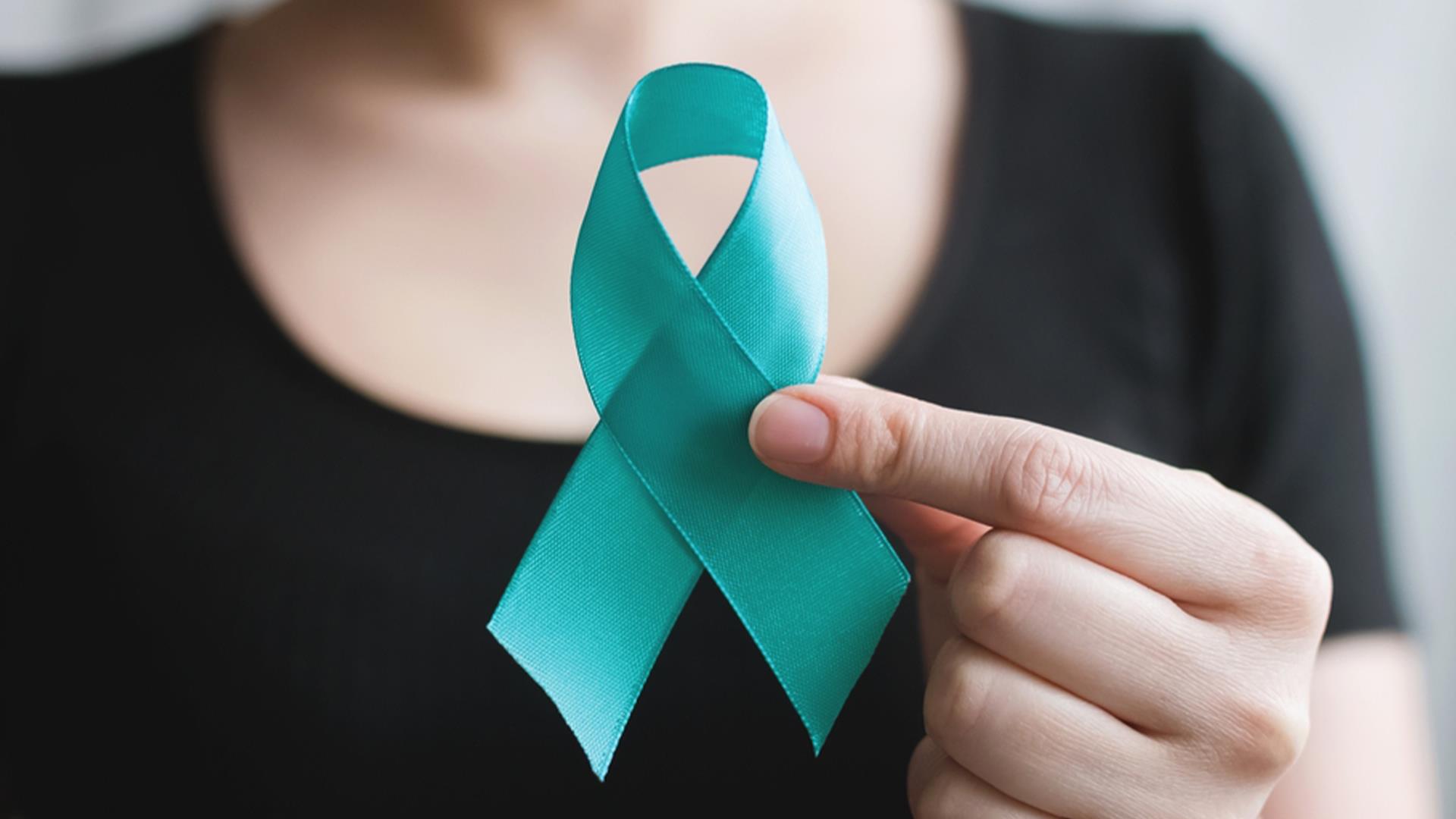 SAPR Ribbon.jpg SAPR Ribbon.jpg
